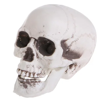 Пластиковый мини-череп человека, декоративный реквизит, голова Скелета, украшение для кофейных баров на Хэллоуин D08A